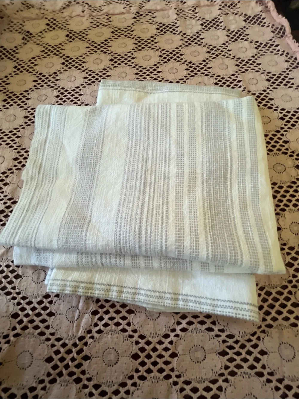 Pottery Barn pillow sham pair